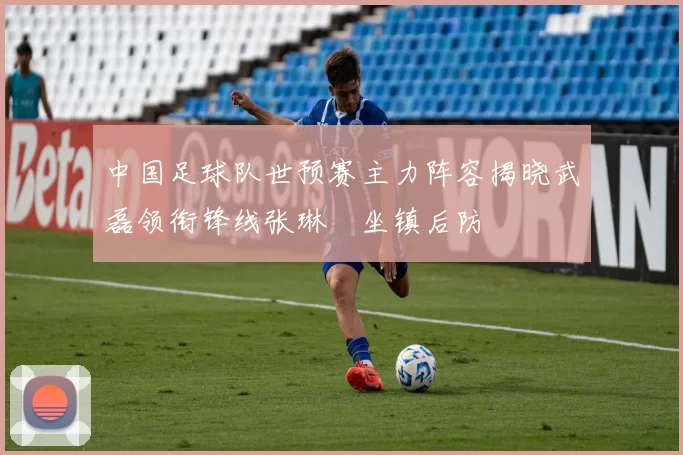 中国足球队世预赛主力阵容揭晓武磊领衔锋线张琳芃坐镇后防