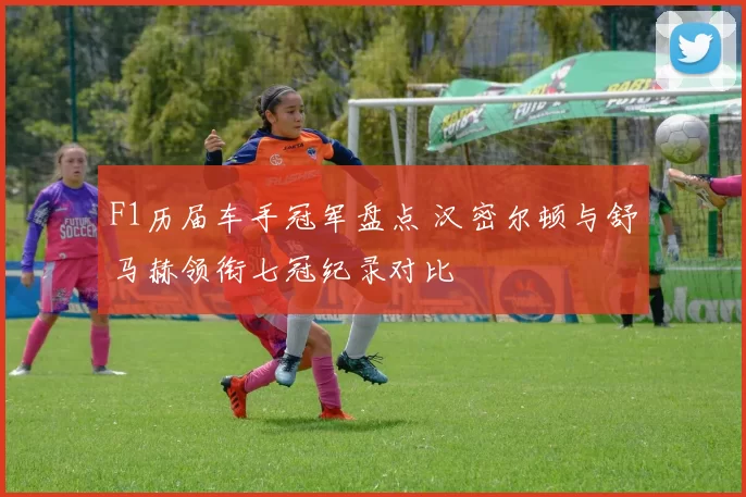 F1历届车手冠军盘点 汉密尔顿与舒马赫领衔七冠纪录对比