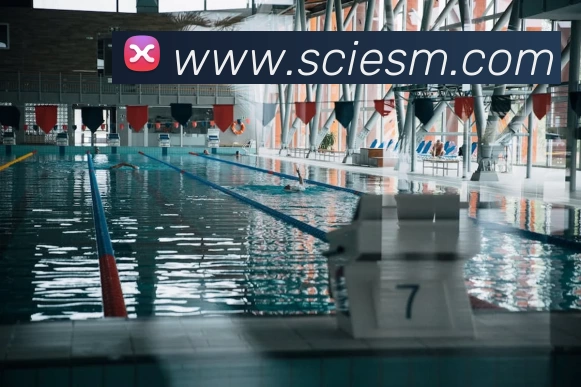 多媒体互动体验